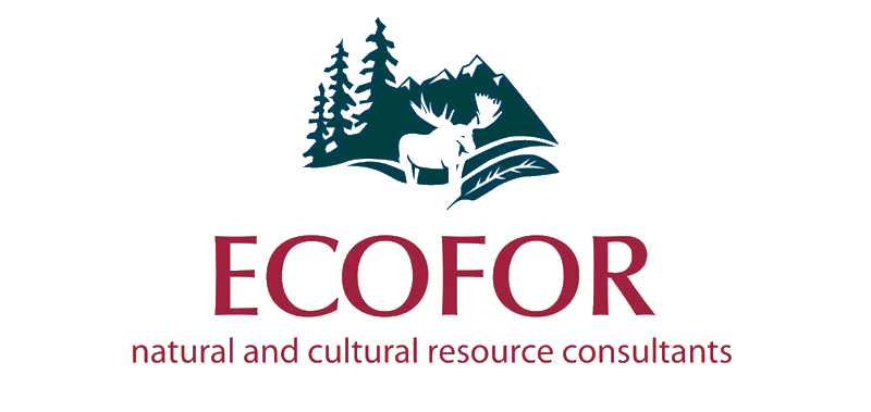 Ecofor